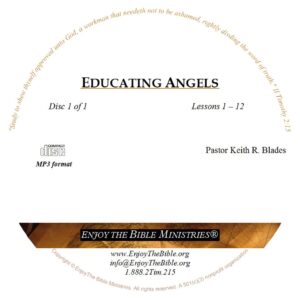 Educating Angels - Image 2