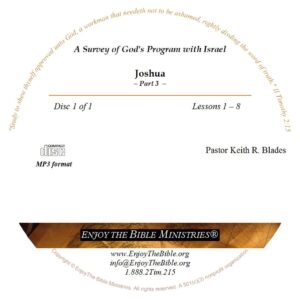 Survey of God's Program with Israel - Image 3